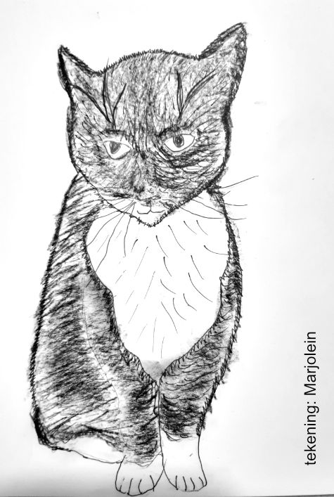 tekening van katten